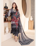 Aalaya Rang e Ronak D-10 · 3 Piece Unstitched Lawn